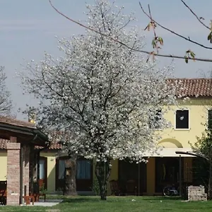 https://particolari-del-brenta.hotelinveneto.com